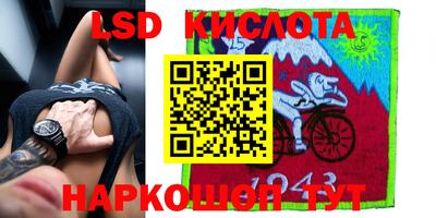 шишки Будённовск