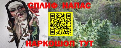 шишки Будённовск
