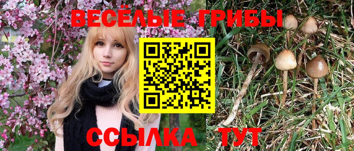 Липецк  Псилоцибиновые грибы Magic Shrooms  Псилоцибиновые грибы прущие грибы  Вход с VPN 
